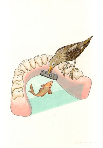 COLABORACIÓN INTERESPECÍFICA